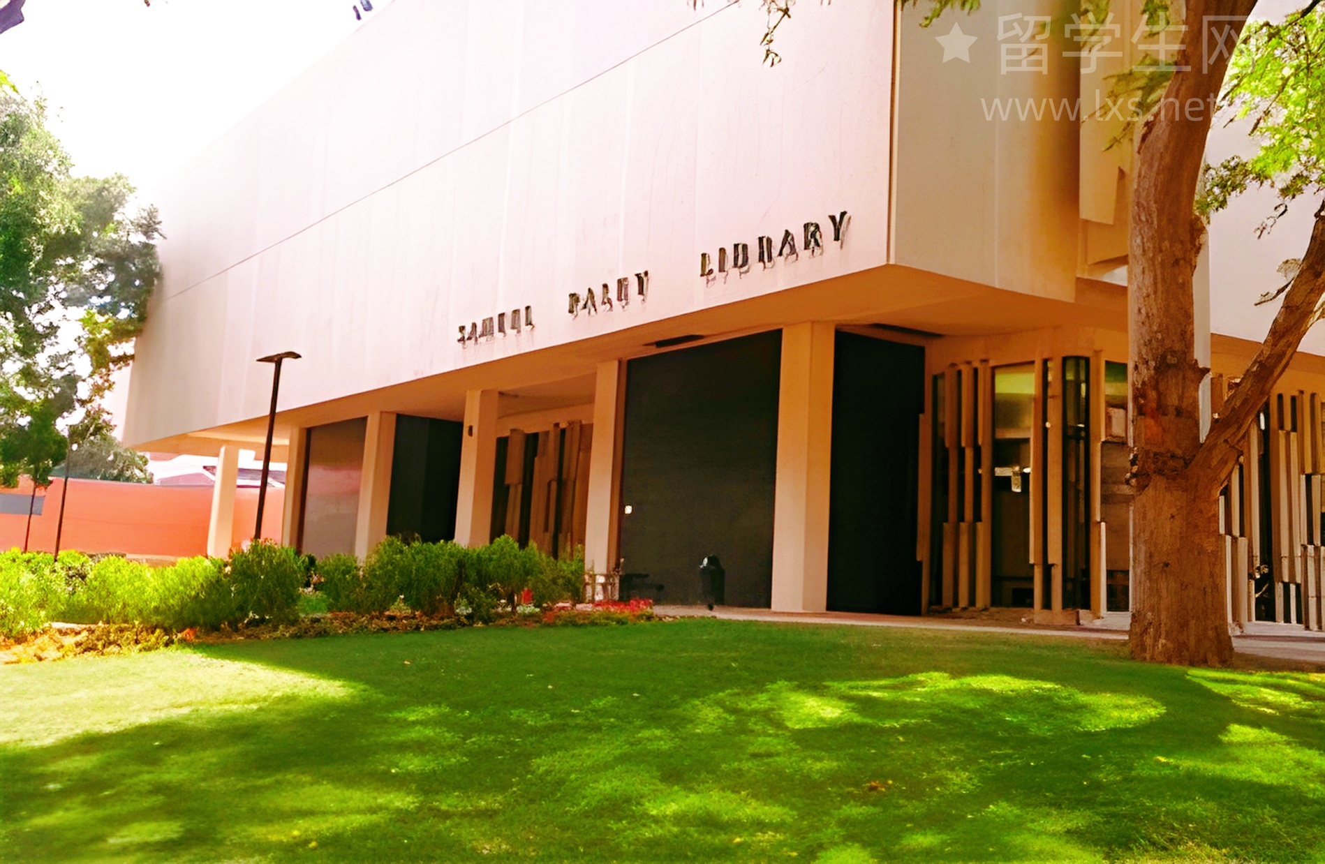 毕业=回国？手把手教你规划绿卡之路