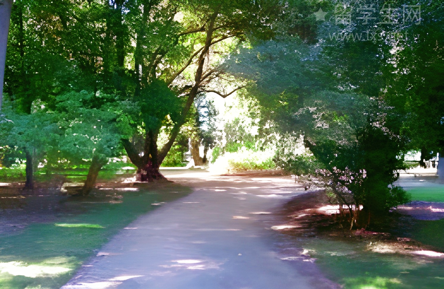 GPA算错一步，小心你的申请直接作废！