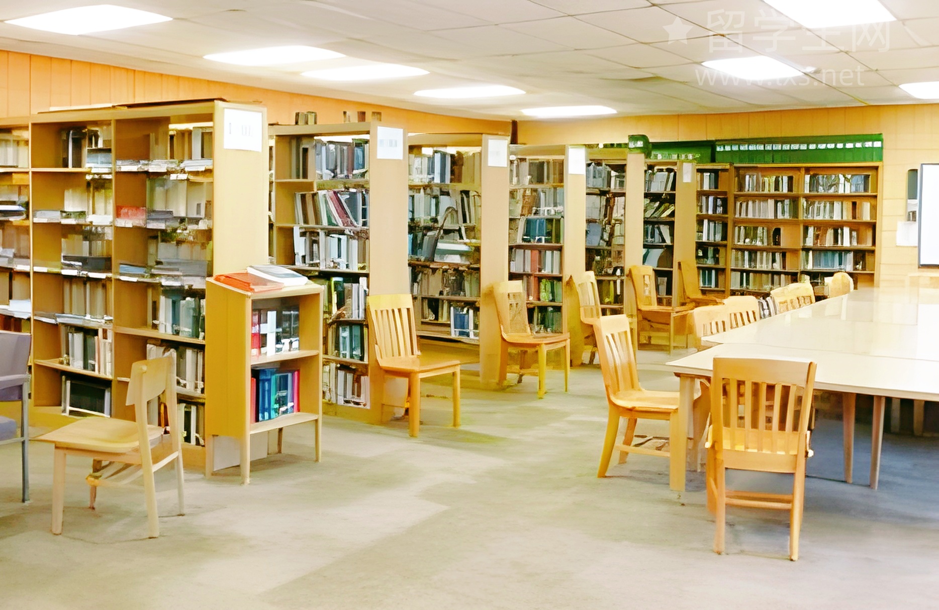 雅思口语高分杀手：万能帽子