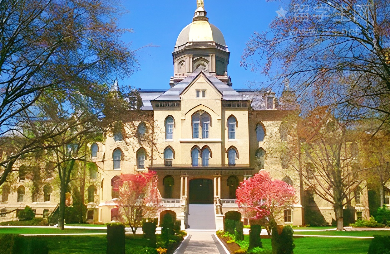 济南雅思提分天花板，就在环球！