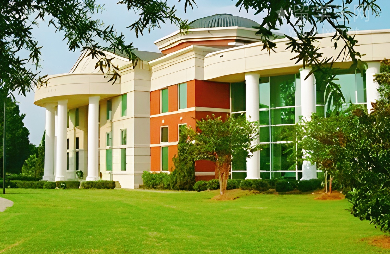 在SKEMA读书，是怎样的精英体验？