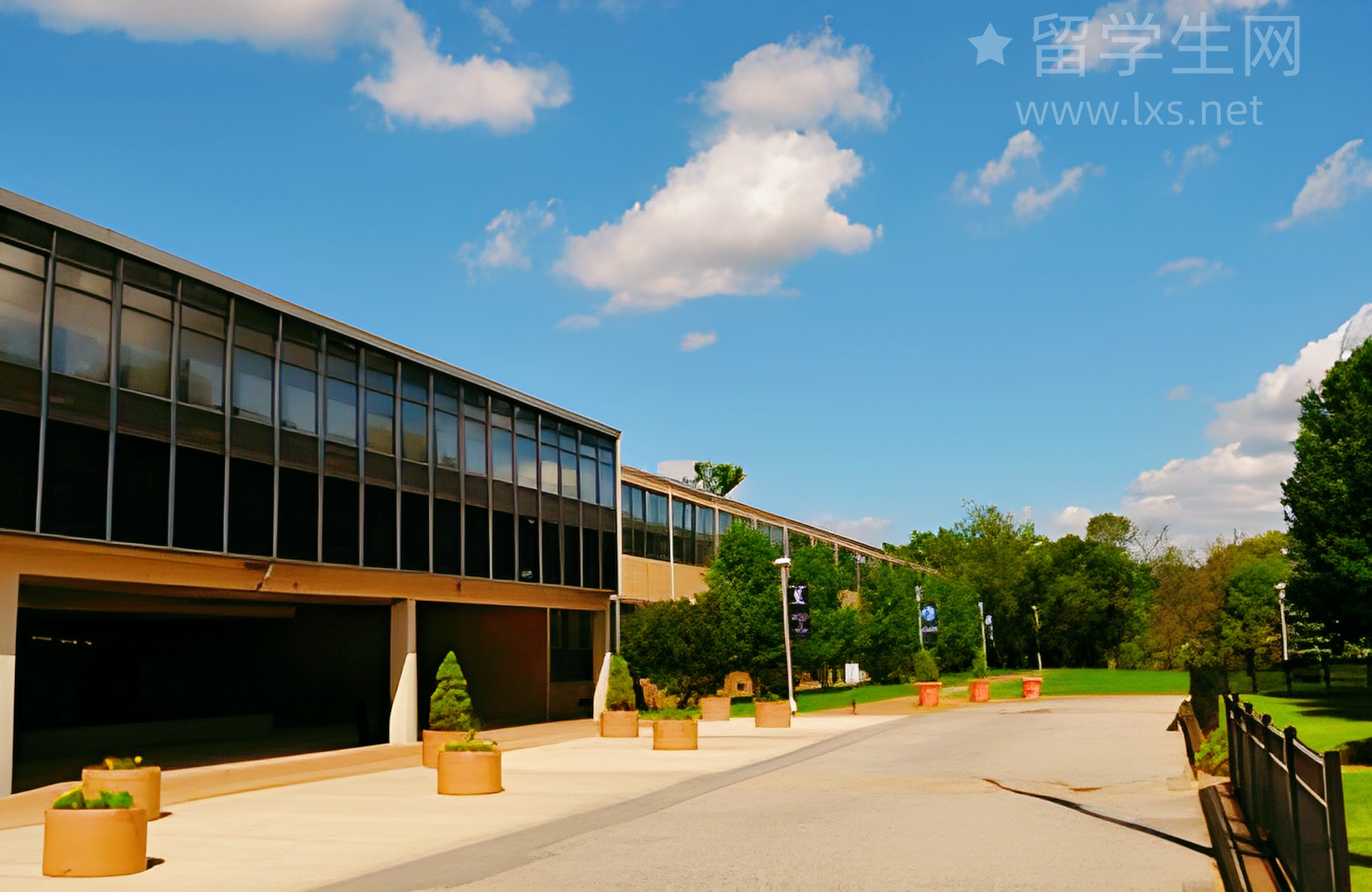 告别低效刷题，这个雅思精读法绝了