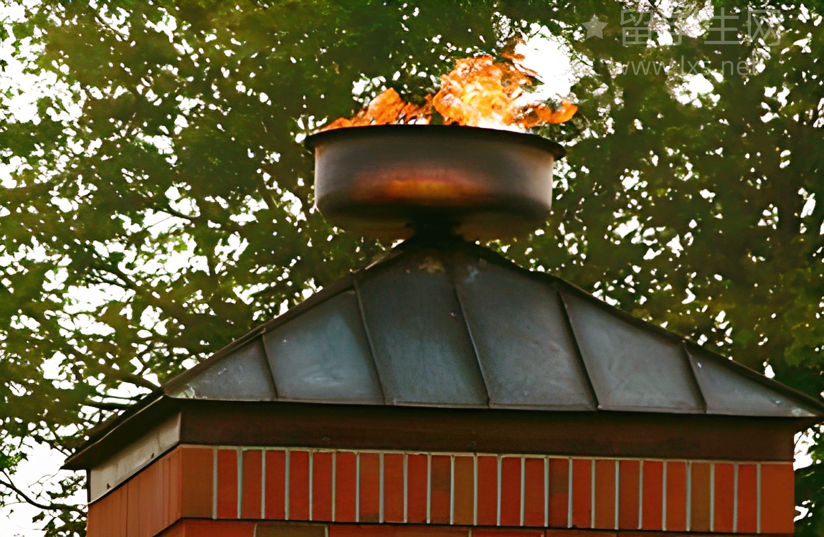 英国心理学硕士，强校专业一篇看懂