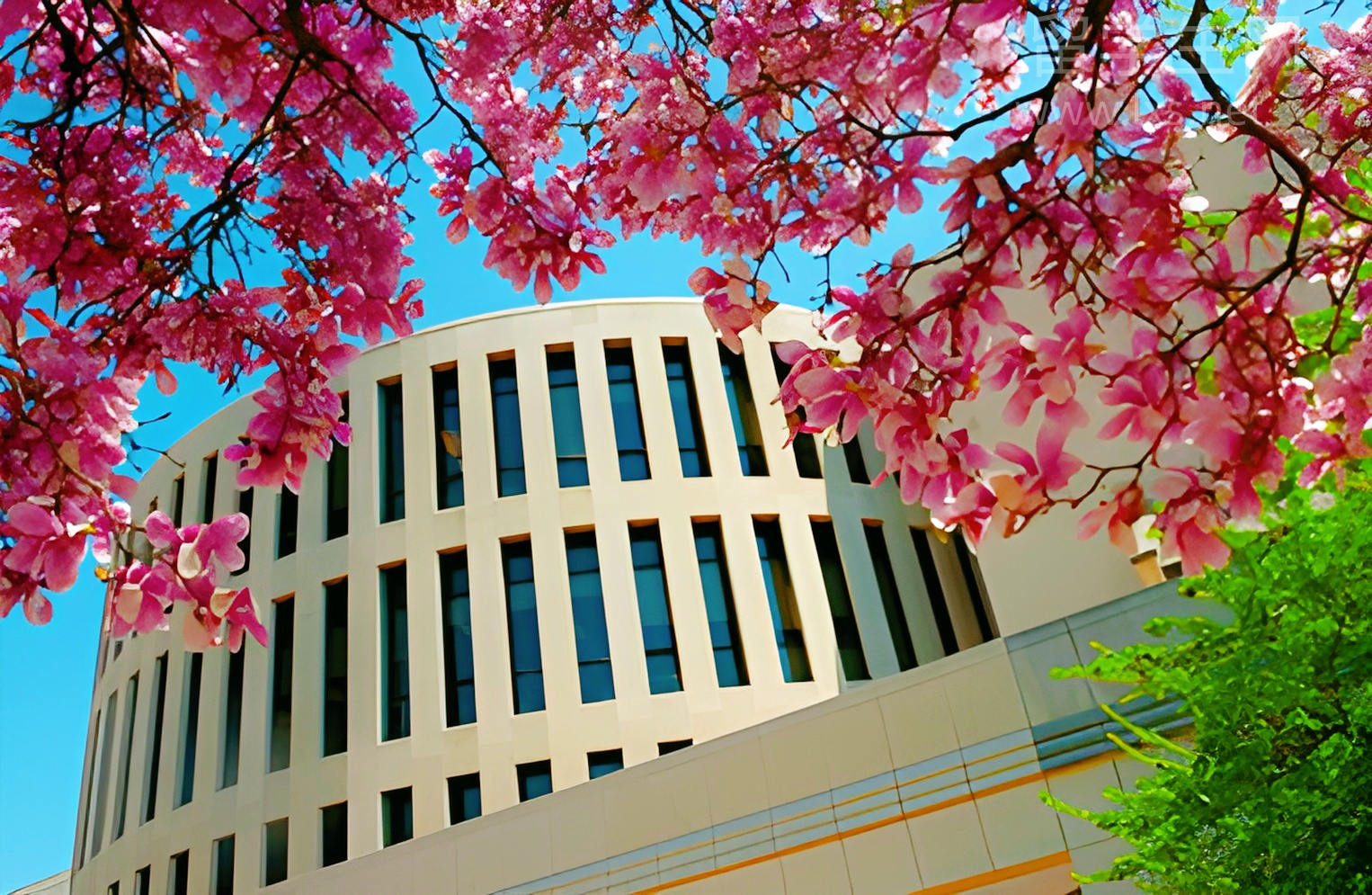 直通西班牙名校，硕士申请条件全知道