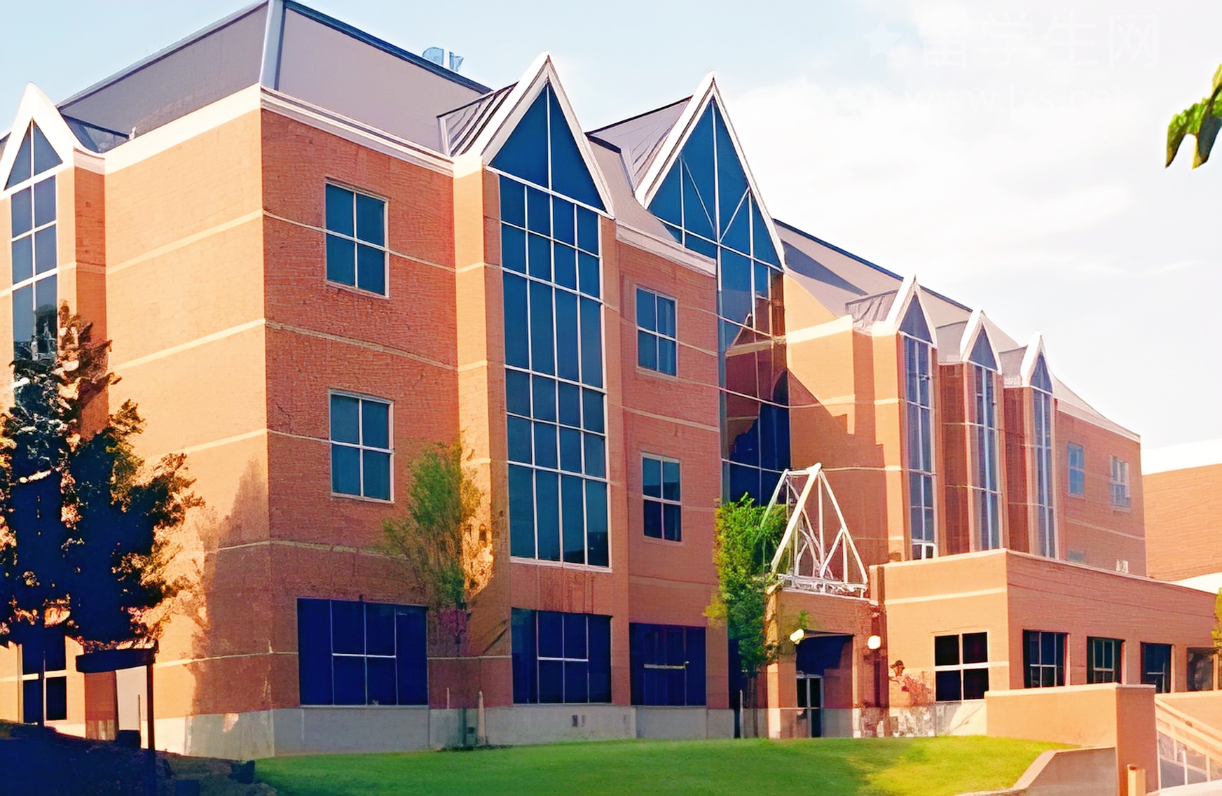 烟台雅思备考，机构选择避坑指南