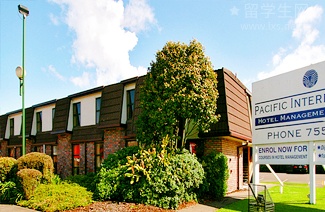 雅思表格小作文，高分模板一篇搞定