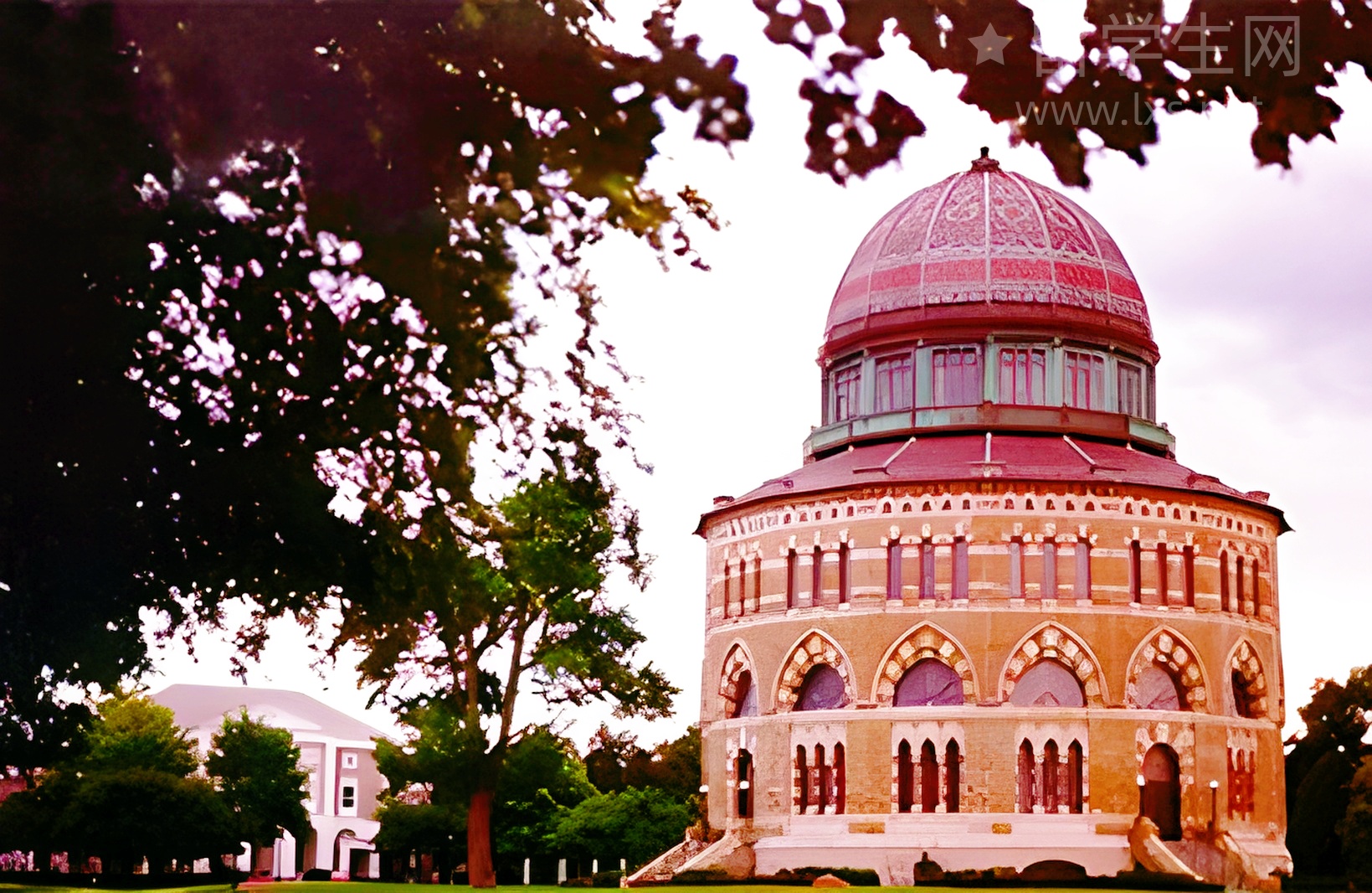 英国留学选校，开局选对，全程躺赢