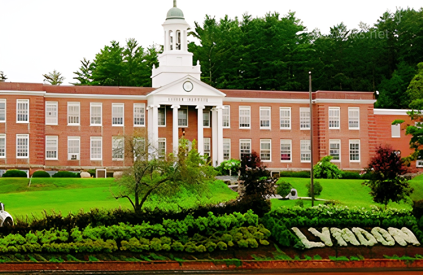 别再背模板！雅思口语考官想听这个