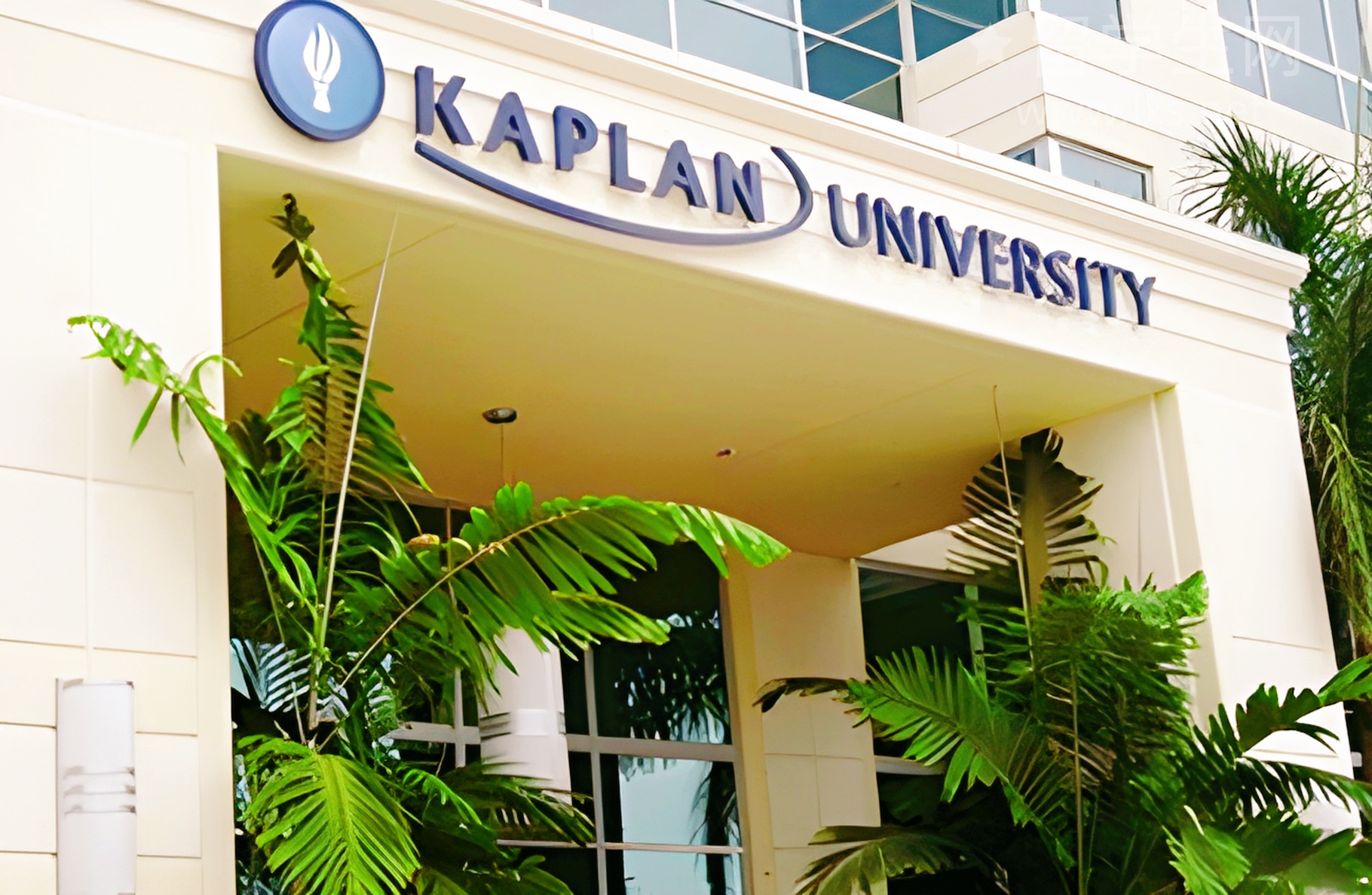 艺术生警报！作品集没AI英国名校拒收