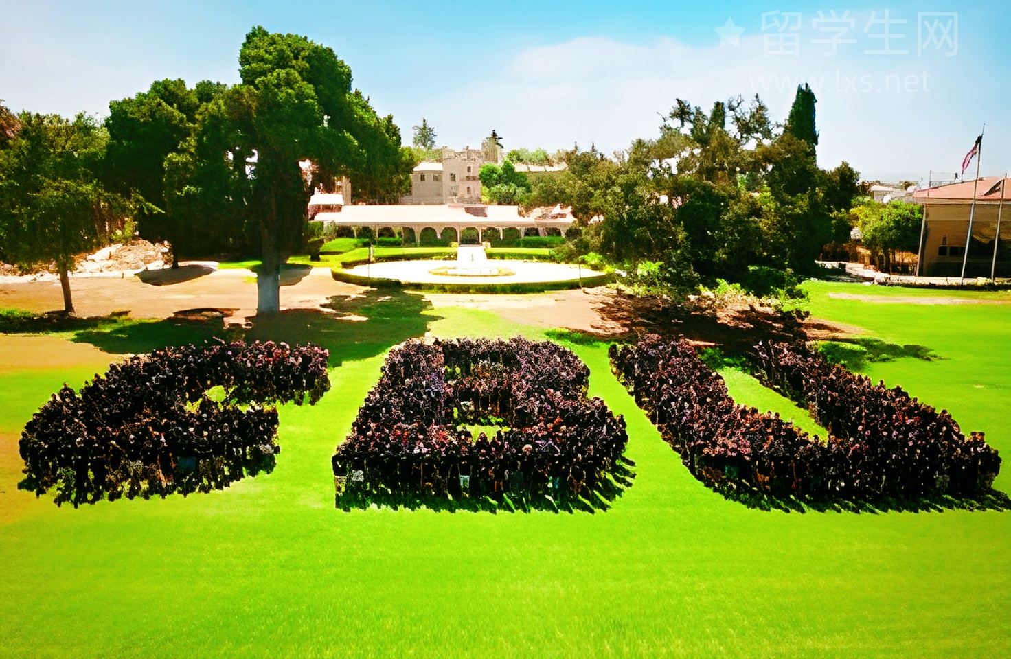 新西兰中学：通往世界名校的隐藏赛道