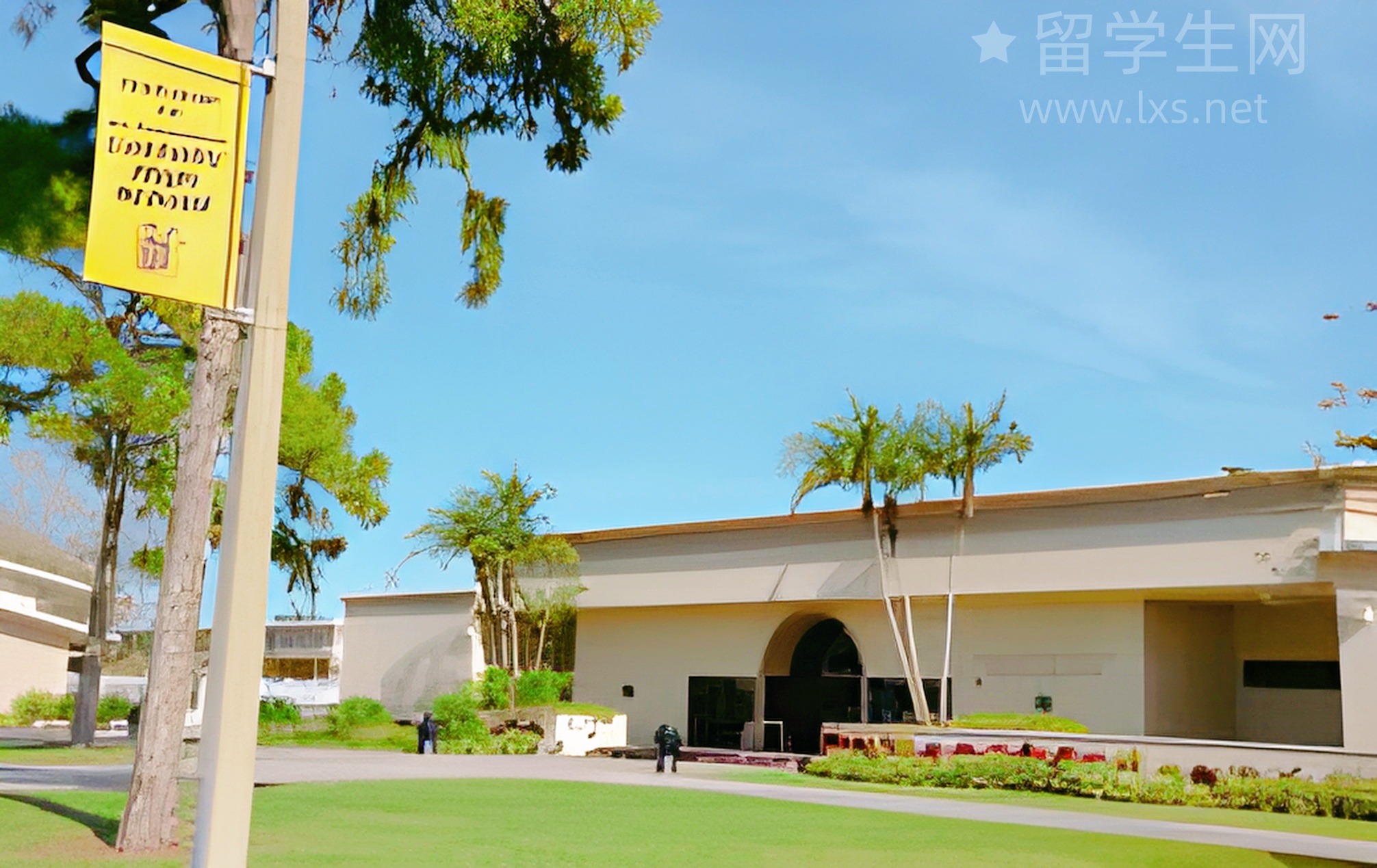 告别万年6分，拿下雅思六点五