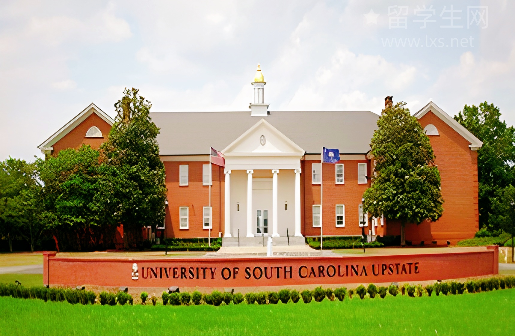 武汉0基础，雅思小白逆袭指南