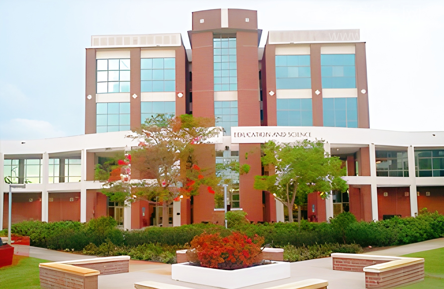 玥的雅思逆袭录：从小白到8分大神