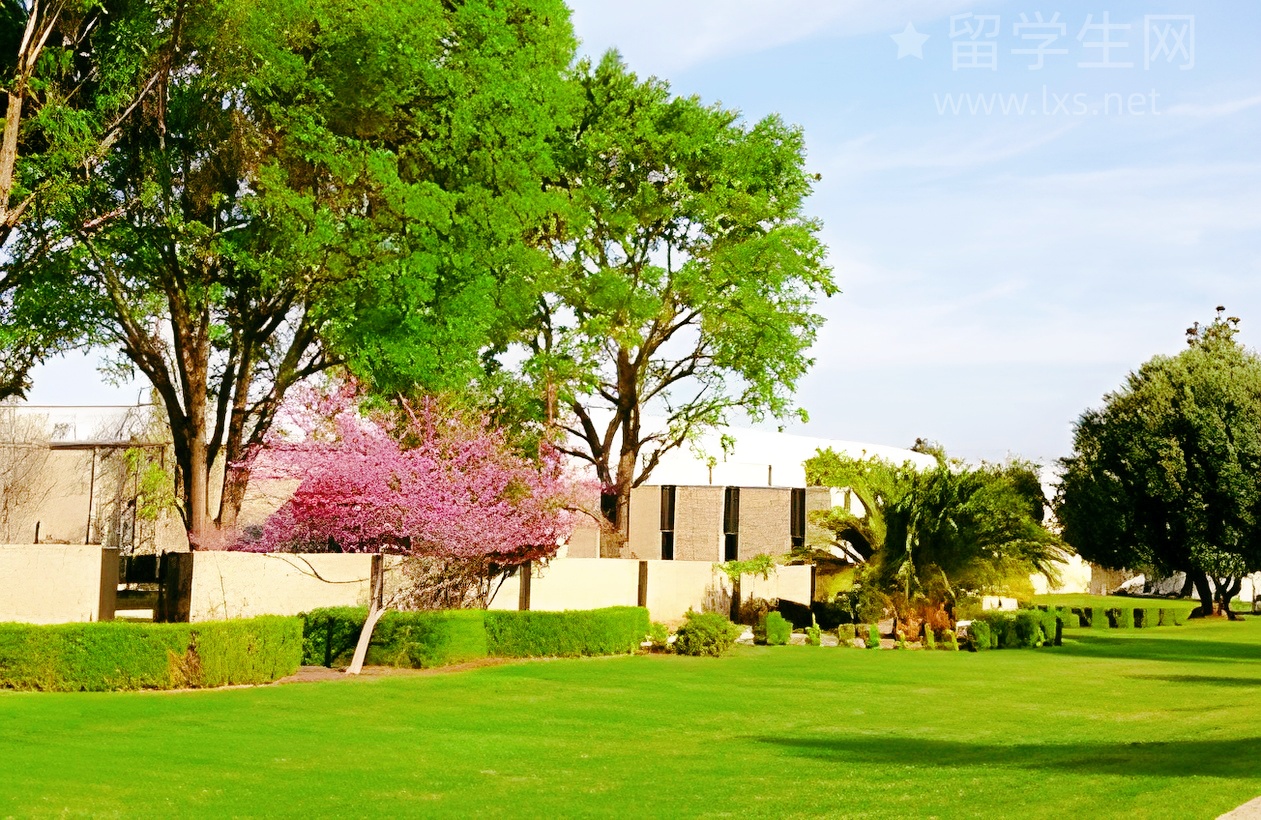 奥塔哥：老牌名校的新潮玩法！