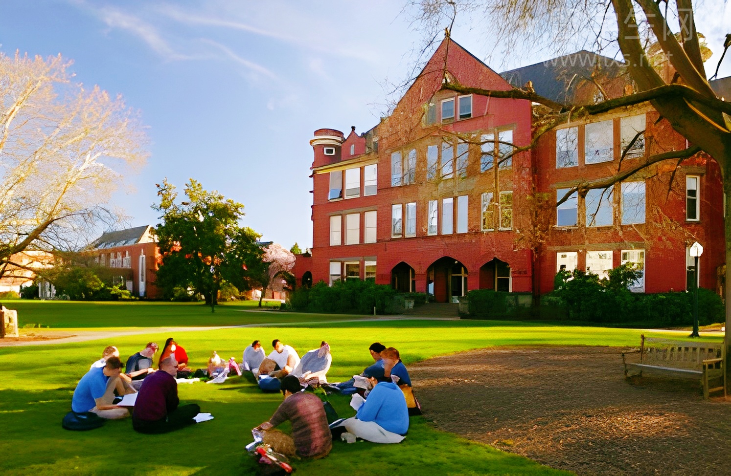 麦马本科双录取：语言不够也能直通名校