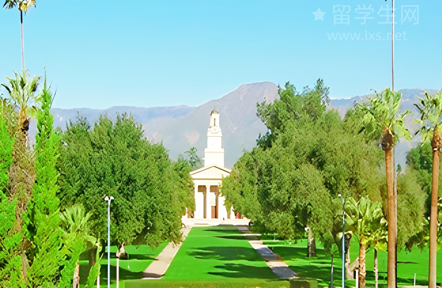 雅思备考战线太长？这份时间规划请收好