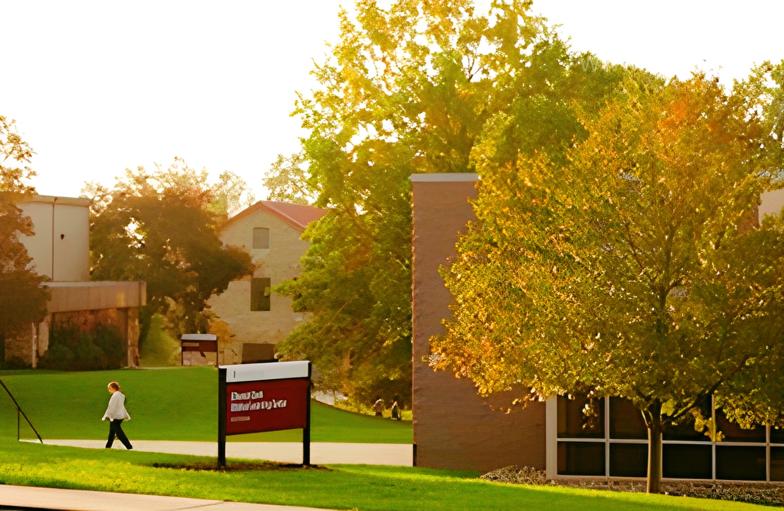 暑假弯道超车，上海雅思高分秘籍大公开