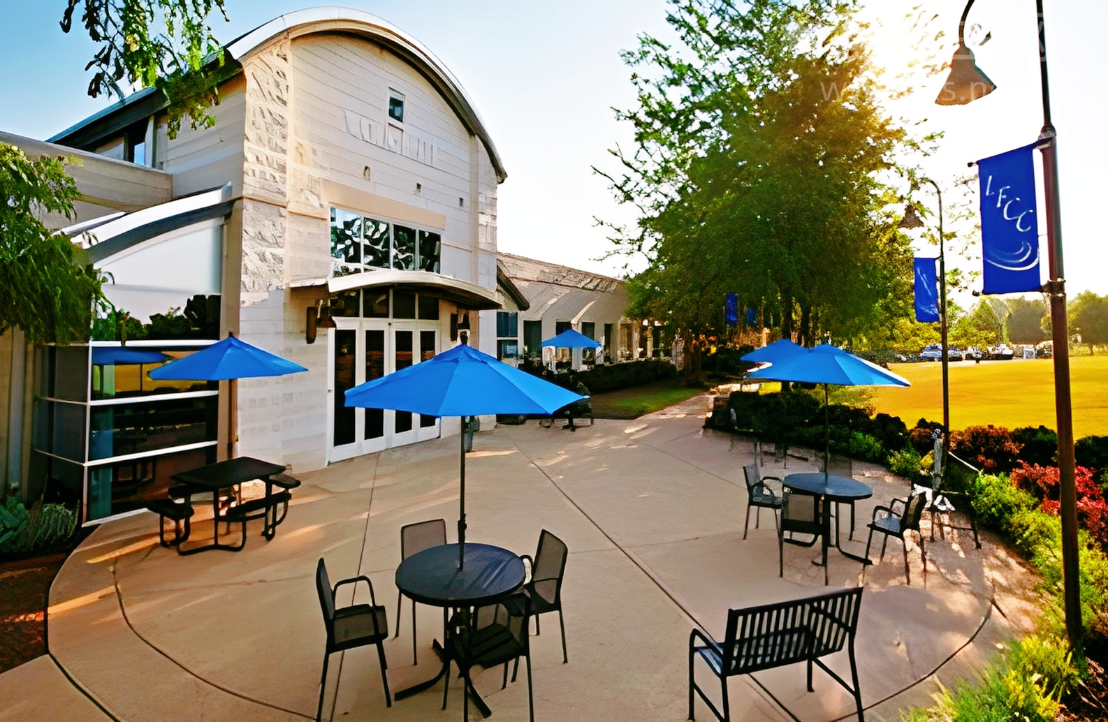 雅思托福,考研党的隐藏加分项