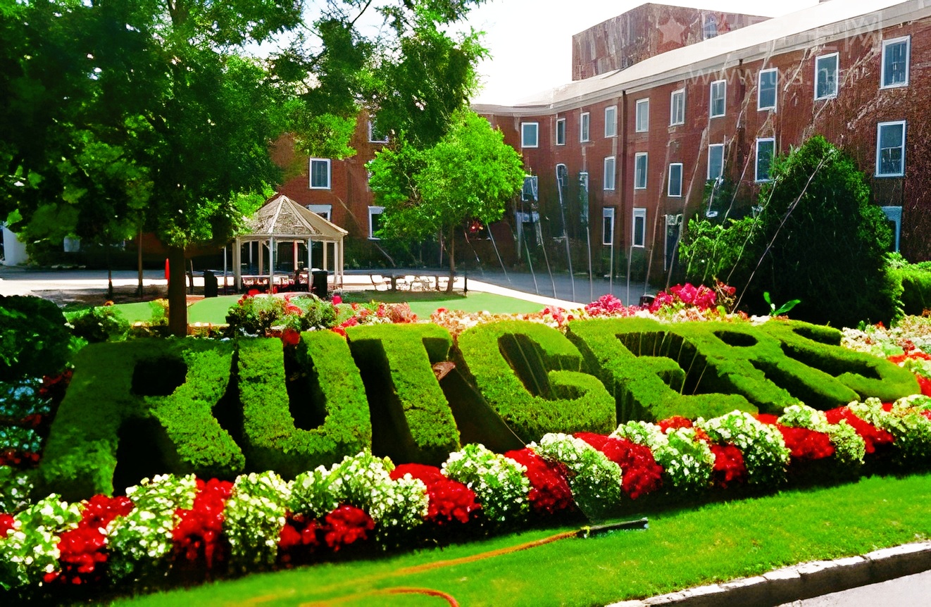 韩国读研，是镀金还是渡劫？