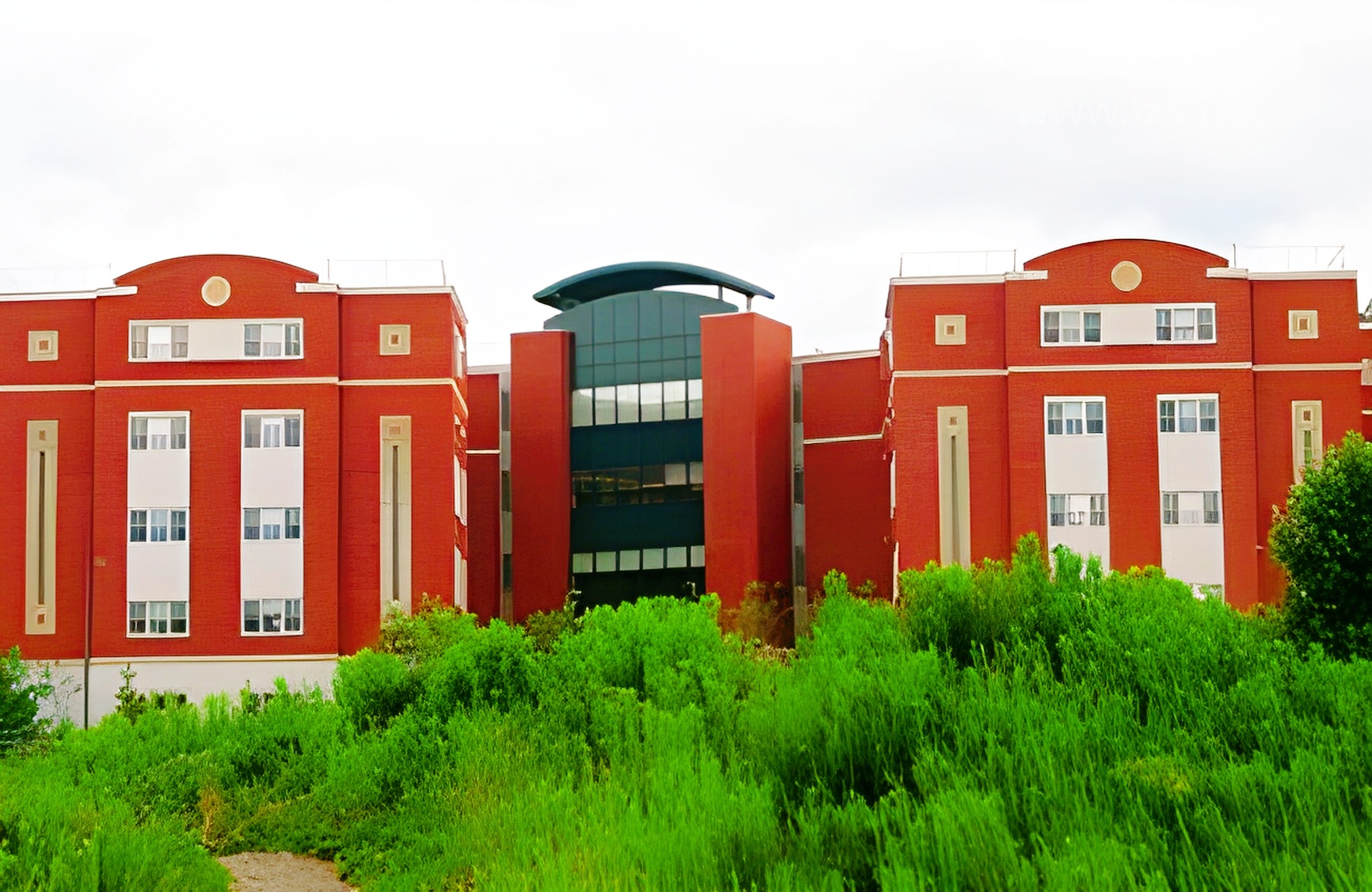 雅思B2，到底意味着什么？