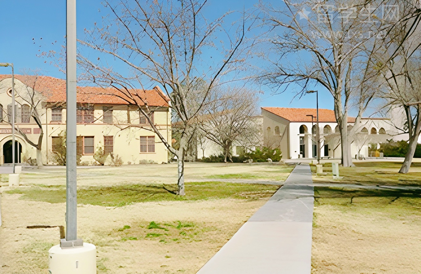 朗文里藏着雅思高分的秘密武器