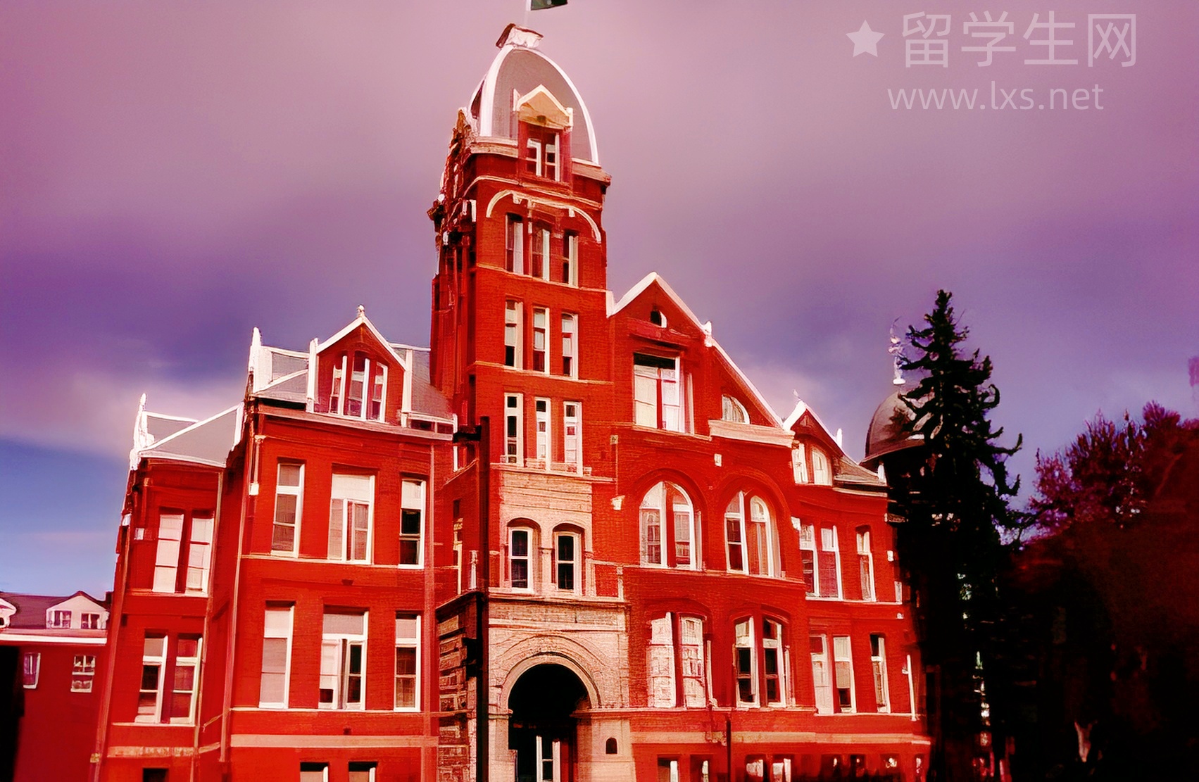 一篇搞懂：托福、雅思、SAT怎么选