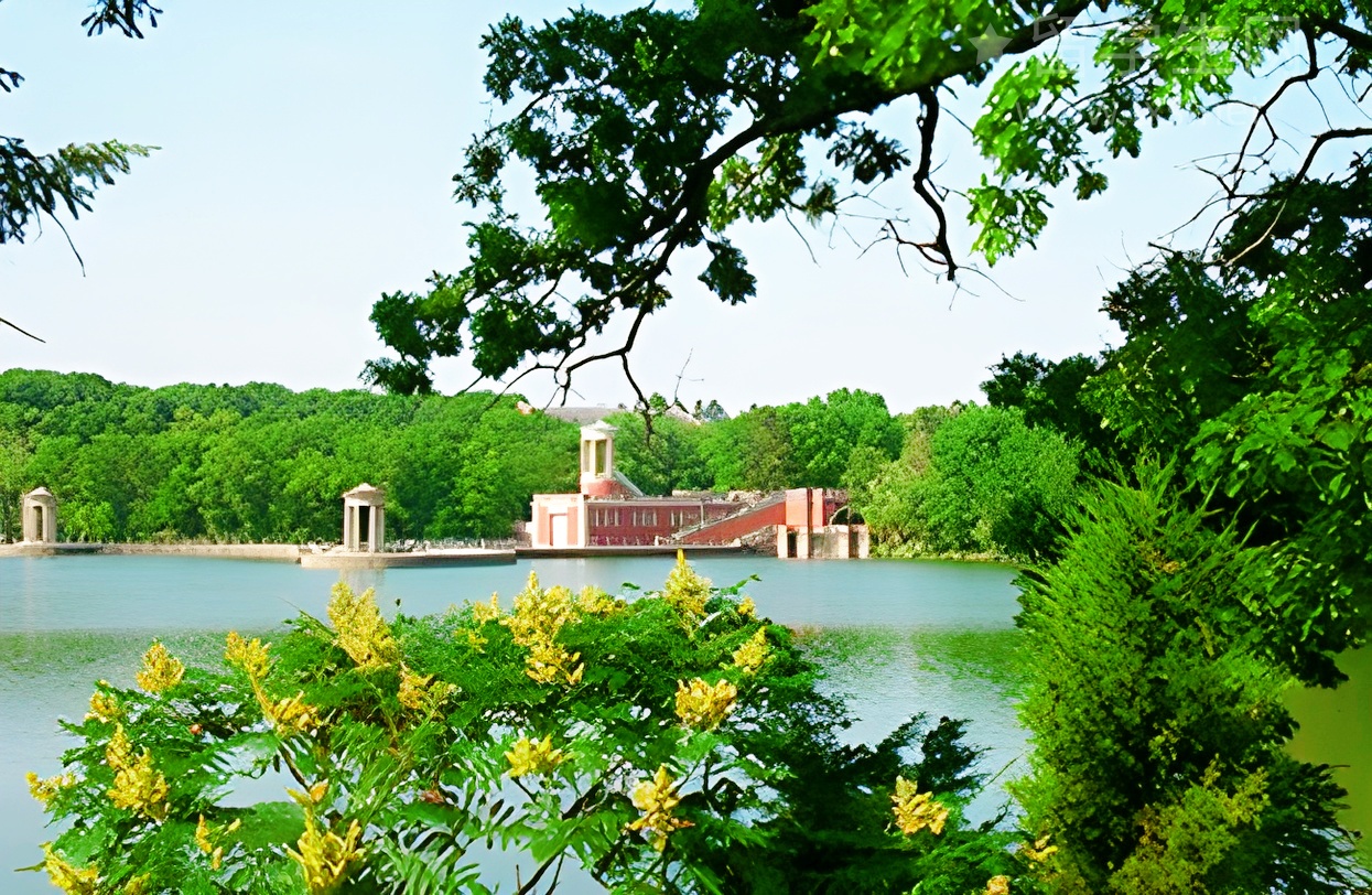 留学澳洲，治好了我的不开心