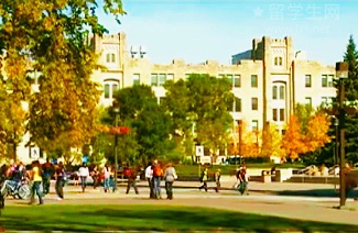 雅思高分冲刺，这份备考计划就够了