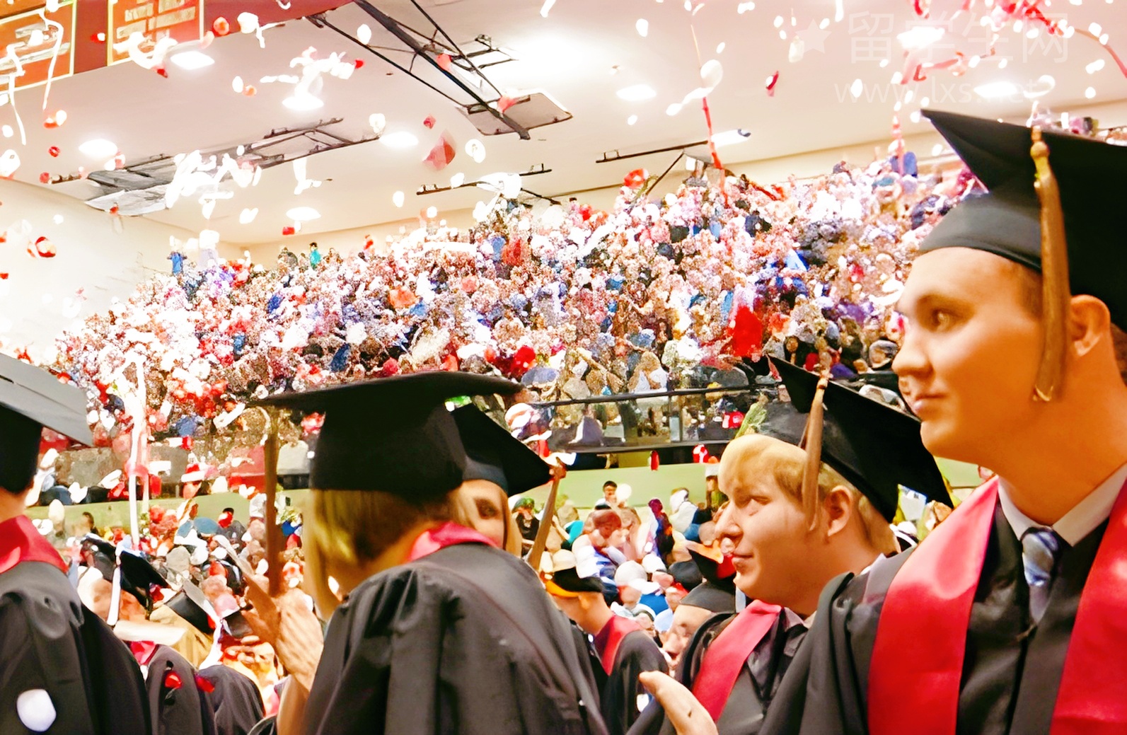 一年硕士毕业，马来西亚留学弯道超车