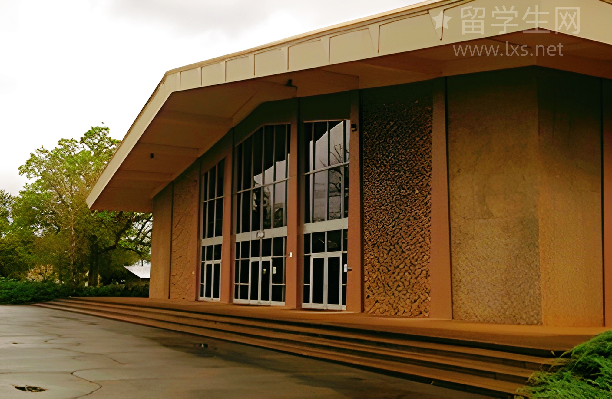 澳洲特产男神，锤哥凭什么火遍全球？