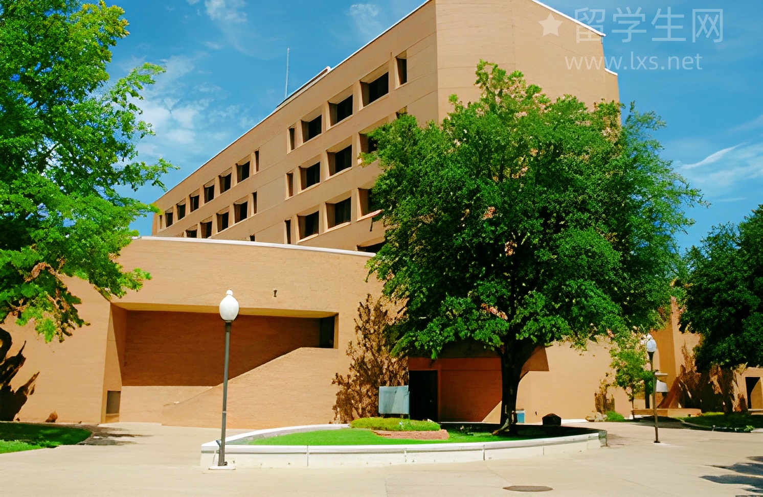 雅思培训班，是捷径还是深坑？