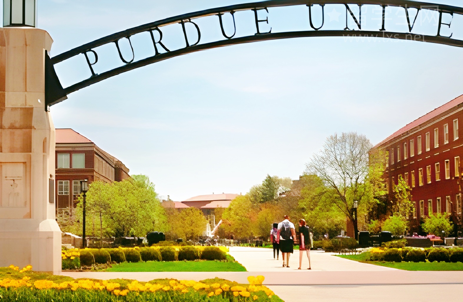 南通雅思提分，看这篇就够了