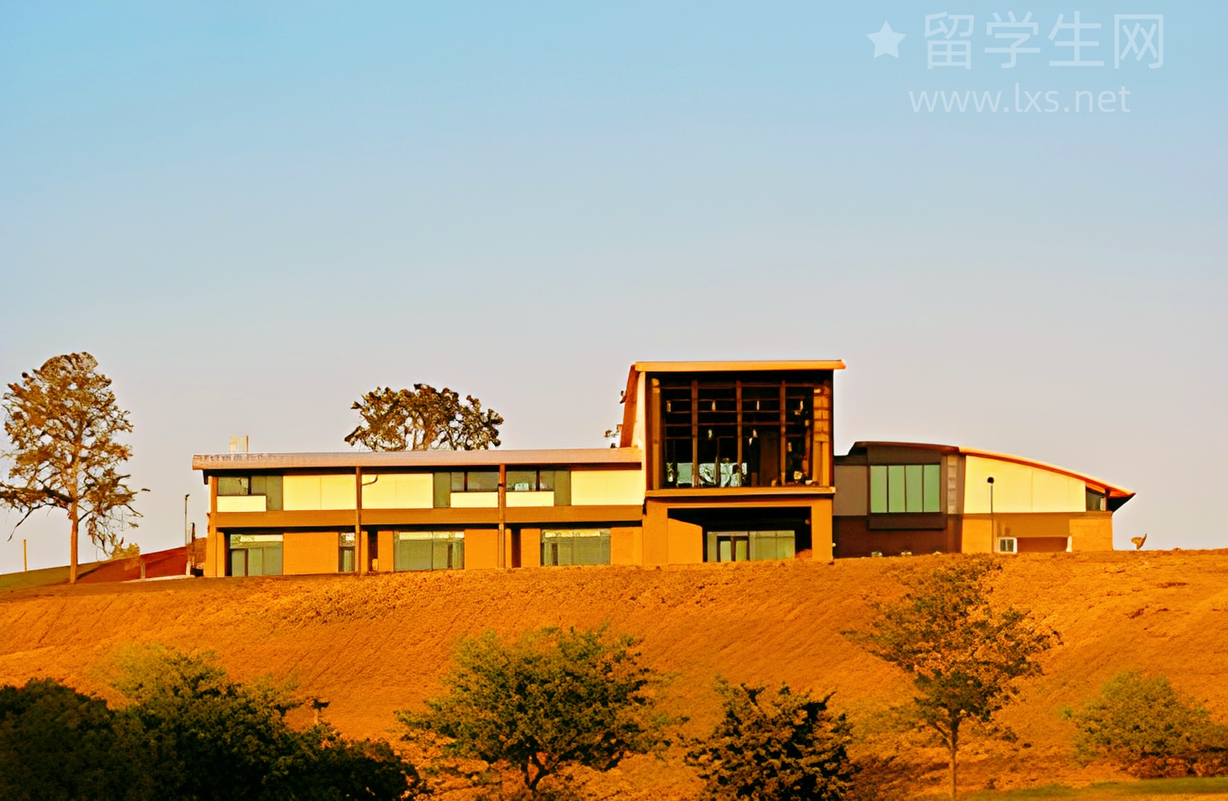 雅思报班还是自学？看完这篇再决定