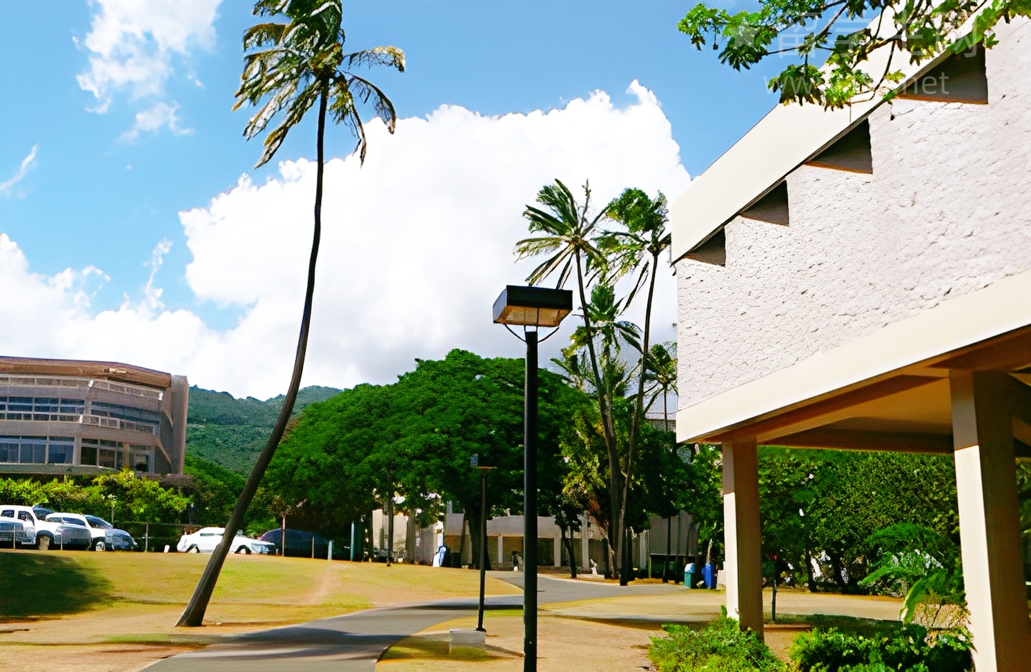 秒懂雅思出成绩时间，告别苦等