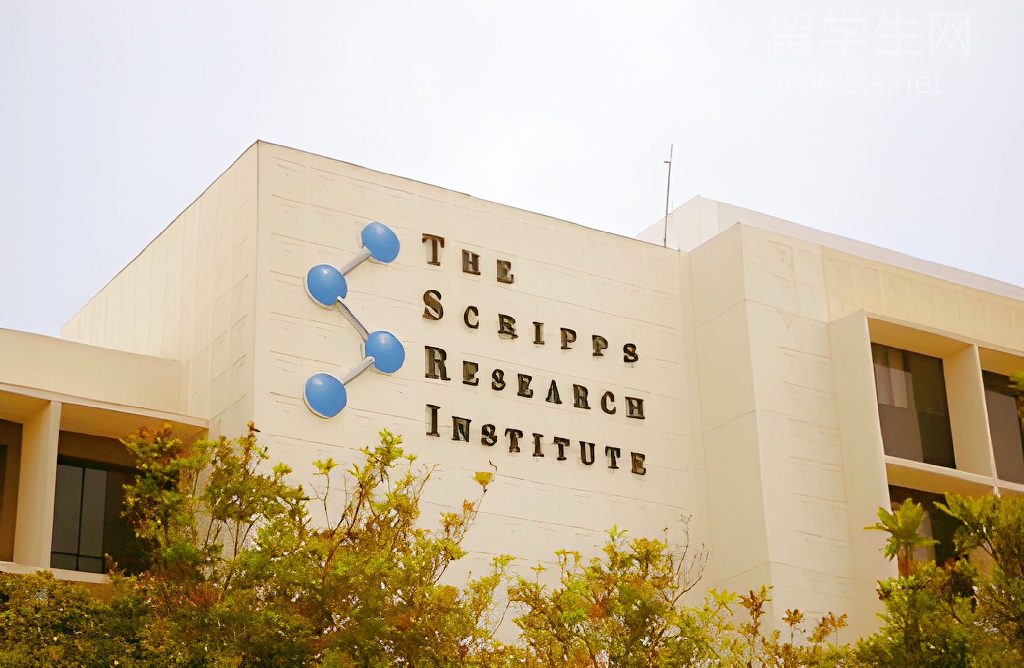 韩国留学：顺利毕业，比考上名校还难？