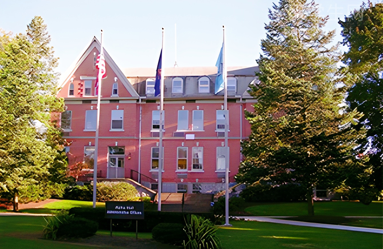 曼大商学院硕士申请，一篇保姆级选课攻略