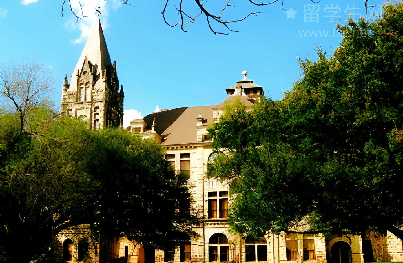 留日新捷径！SGU项目带你弯道超车