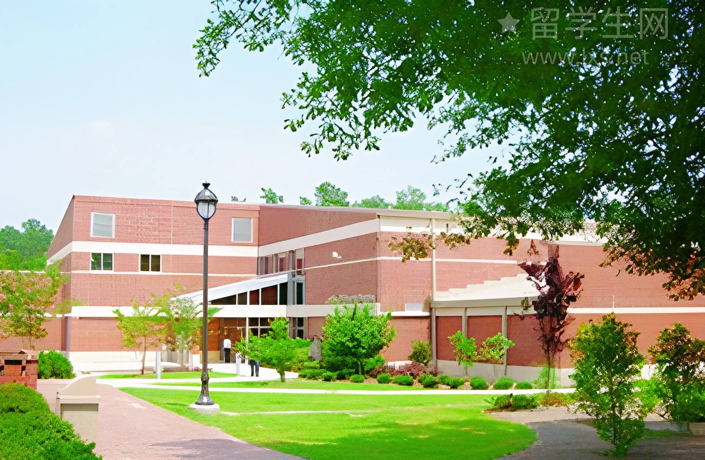 广州雅思培训怎么选？看这篇就够了