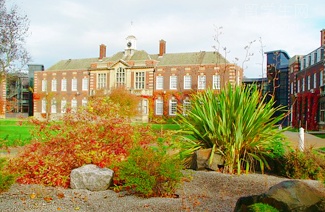 托福死磕98，转考雅思后我悟了