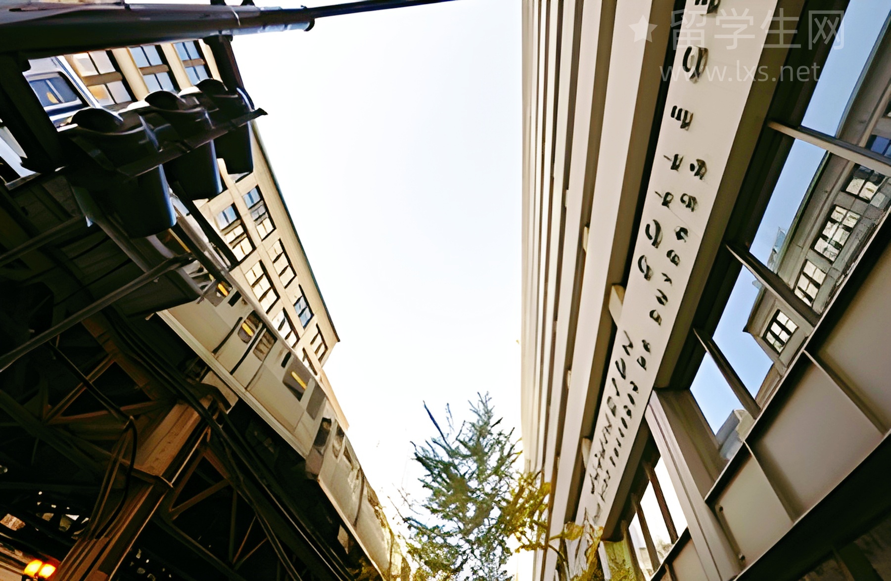 ANU搞大事！无药可治癌症迎来新希望