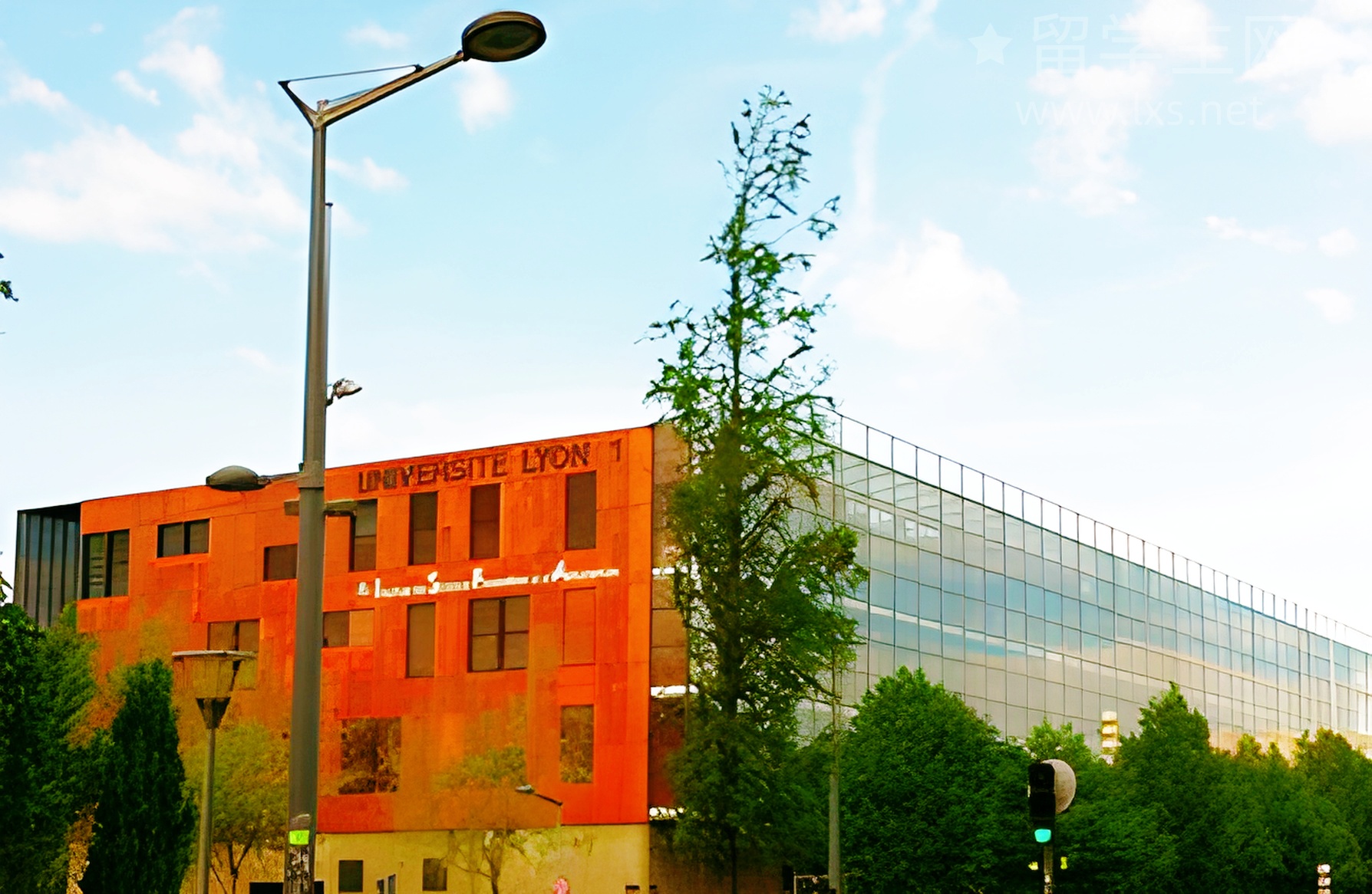 加拿大商业分析,锁定高薪的黄金赛道