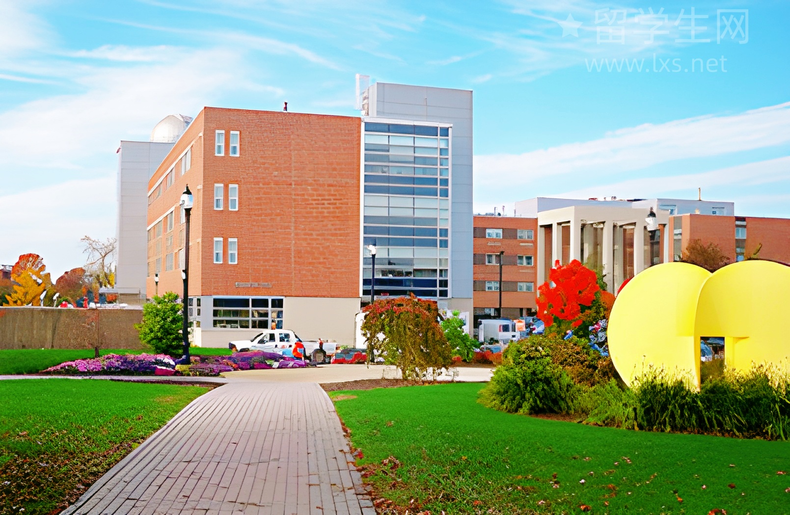 别再纠结!考雅思到底要啥学历