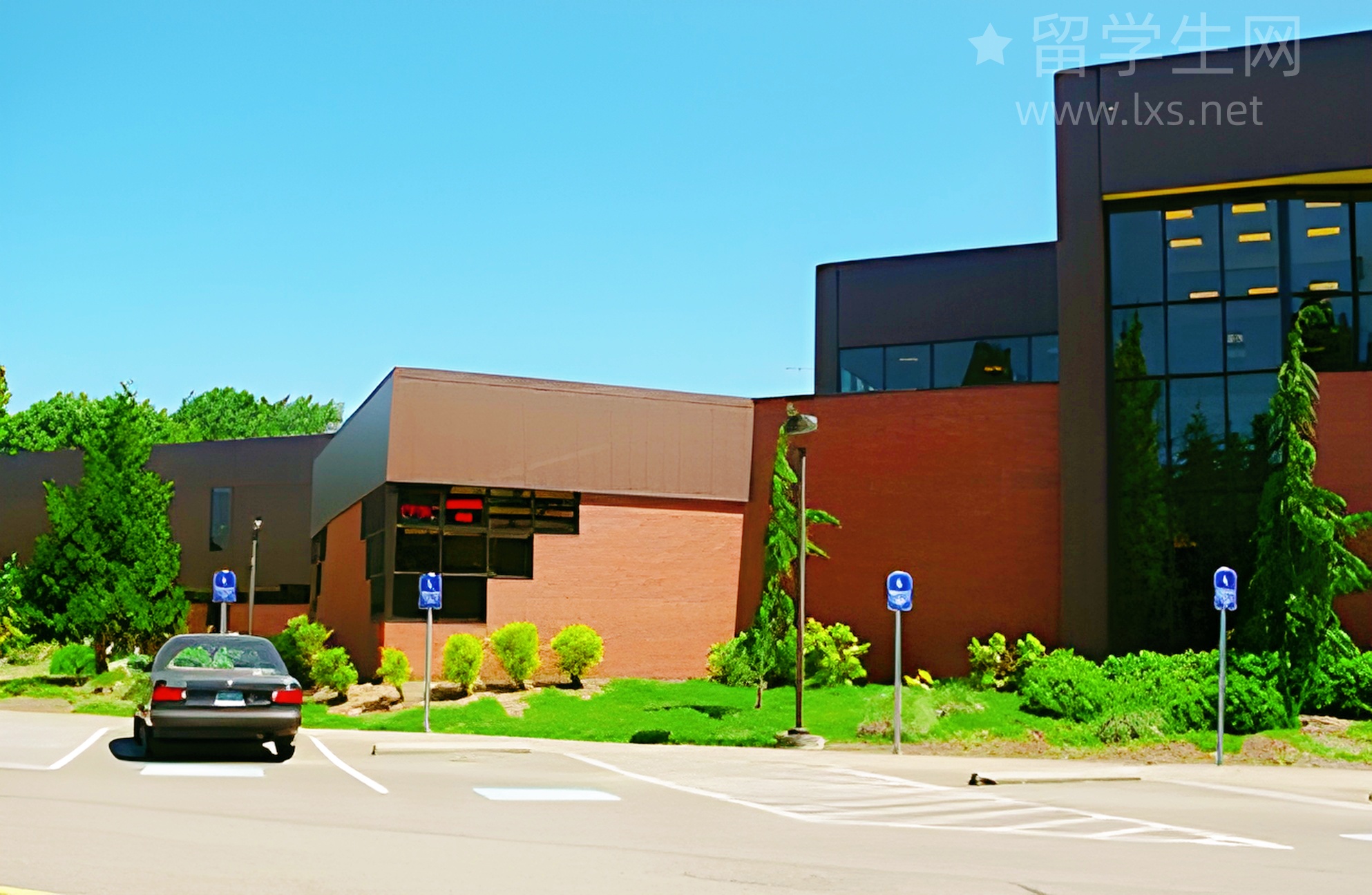 少儿雅思，提前锁定名校入场券