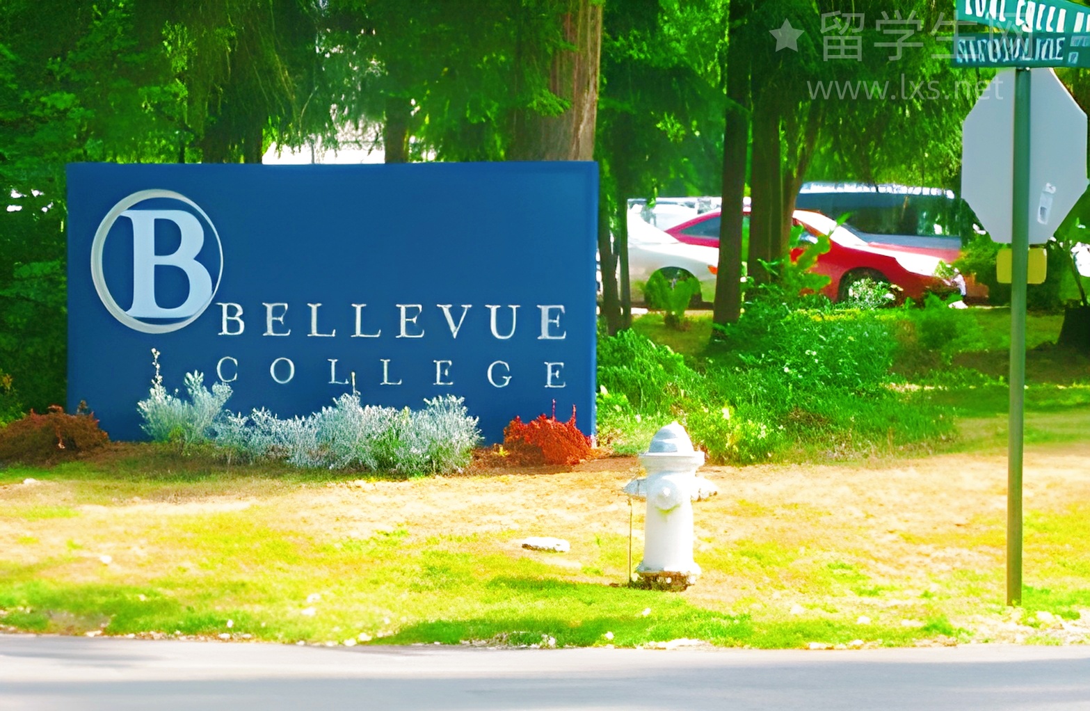 搞懂雅思评分，比埋头刷题更重要