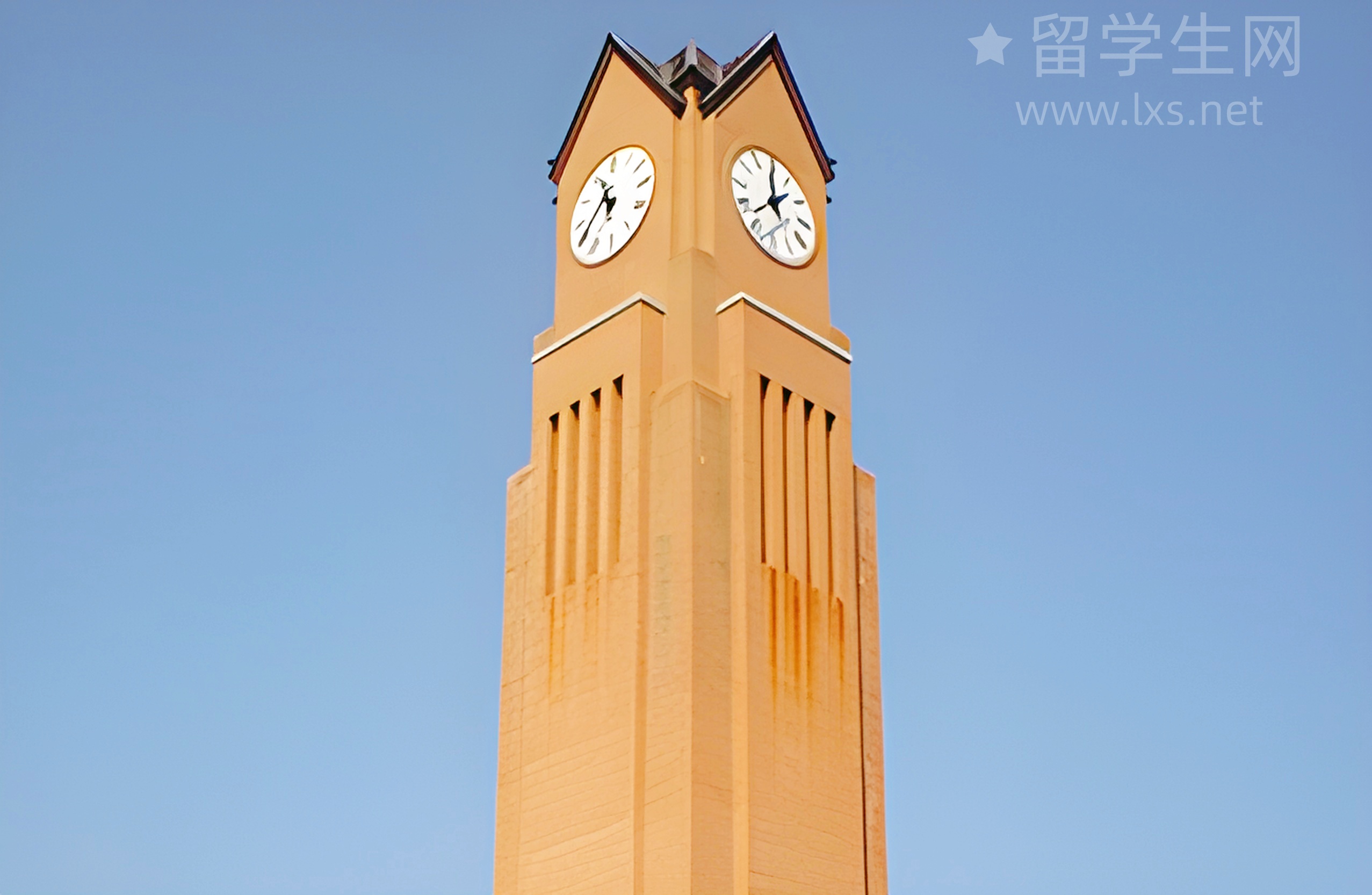 郑州雅思提分秘籍，轻松解锁留学梦！