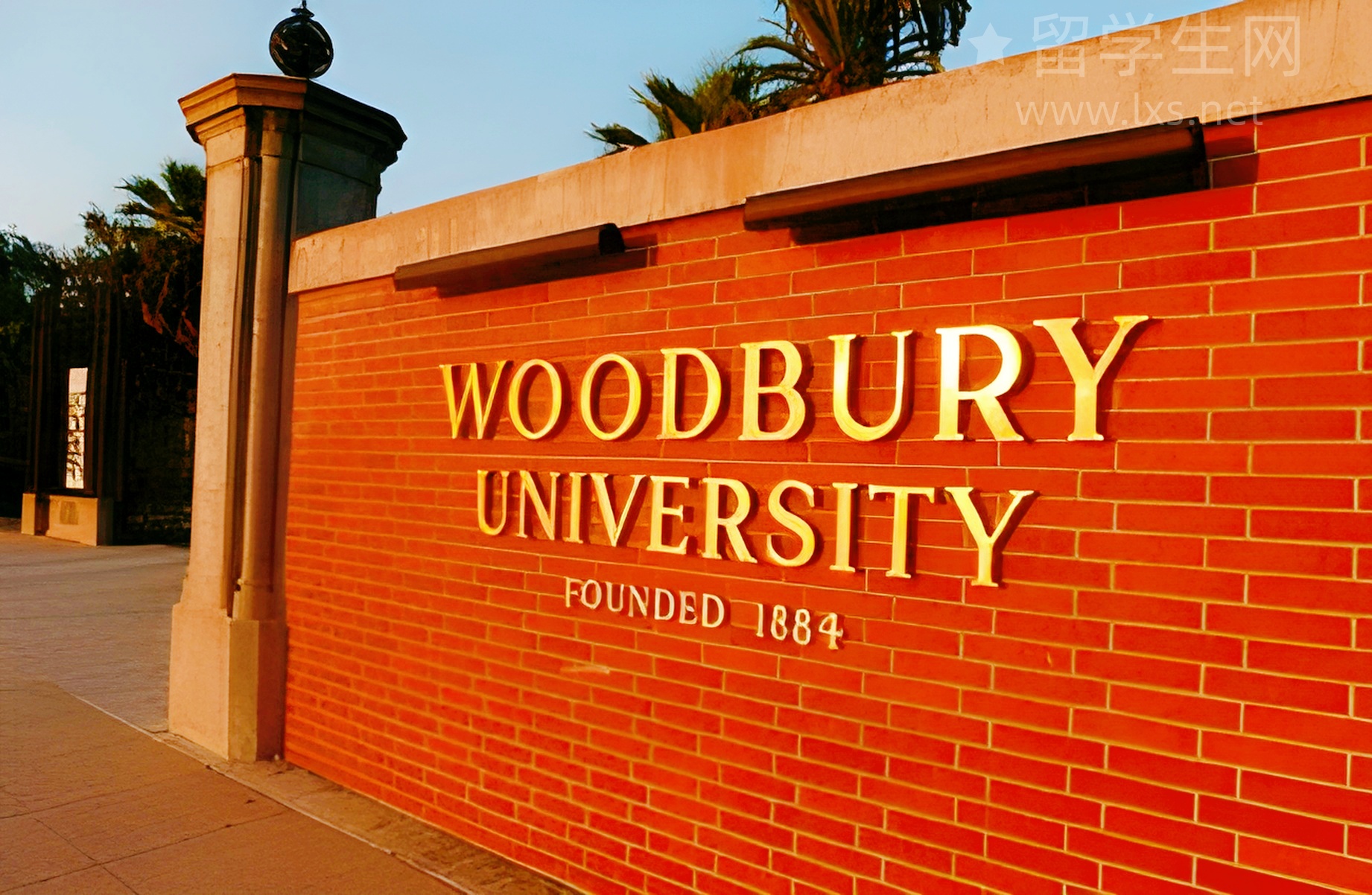 婷雅思：从小白到大神的逆袭之路