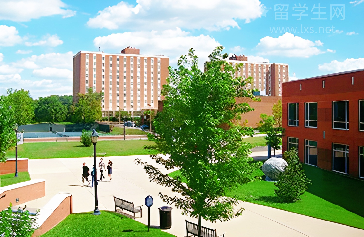 雅思在家考？解锁考试新模式，备考攻略速领！