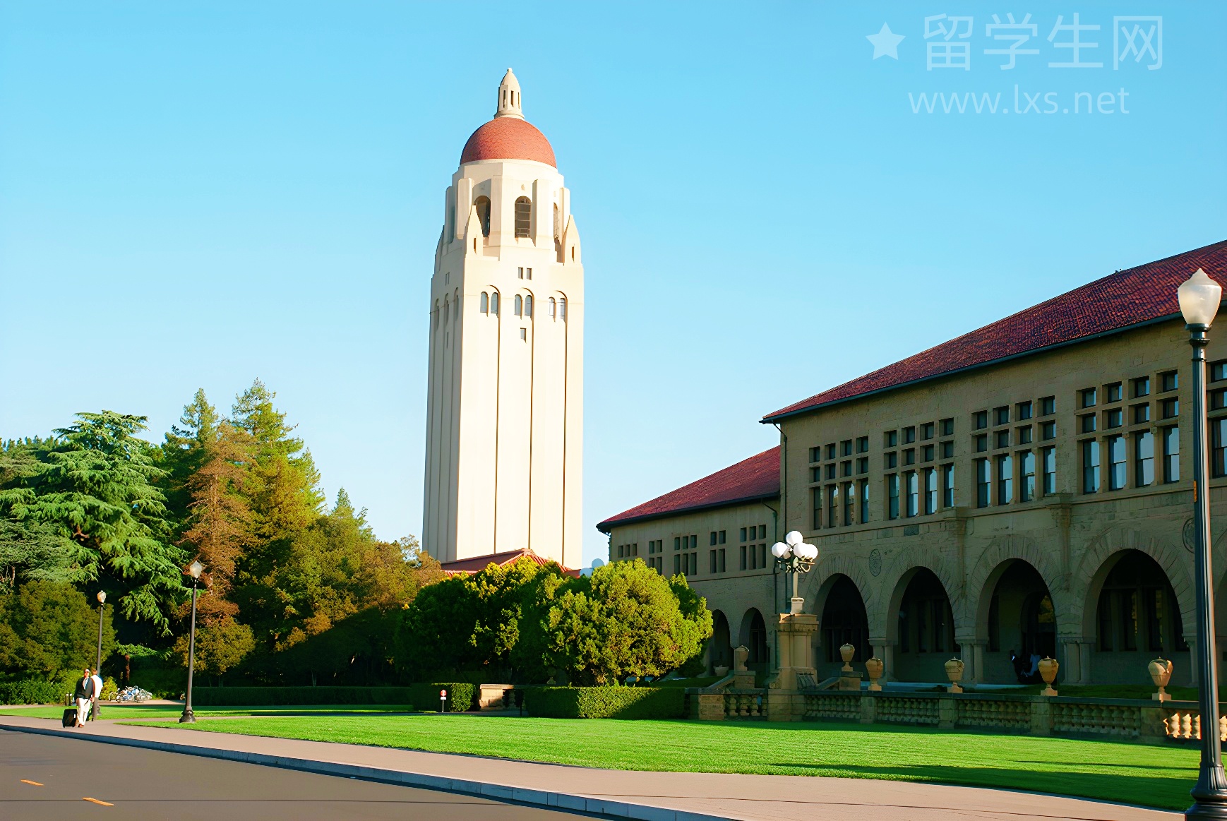 自学vs报班，雅思上岸哪个更香？