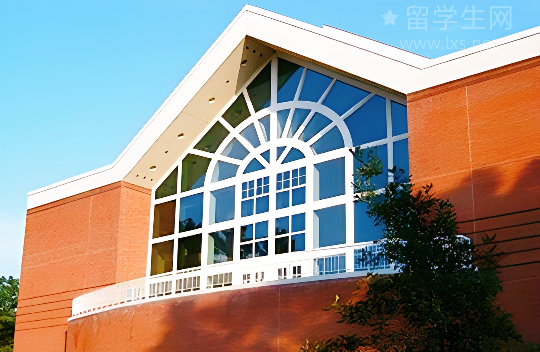 英国动画留学，毕业即失业还是香饽饽？