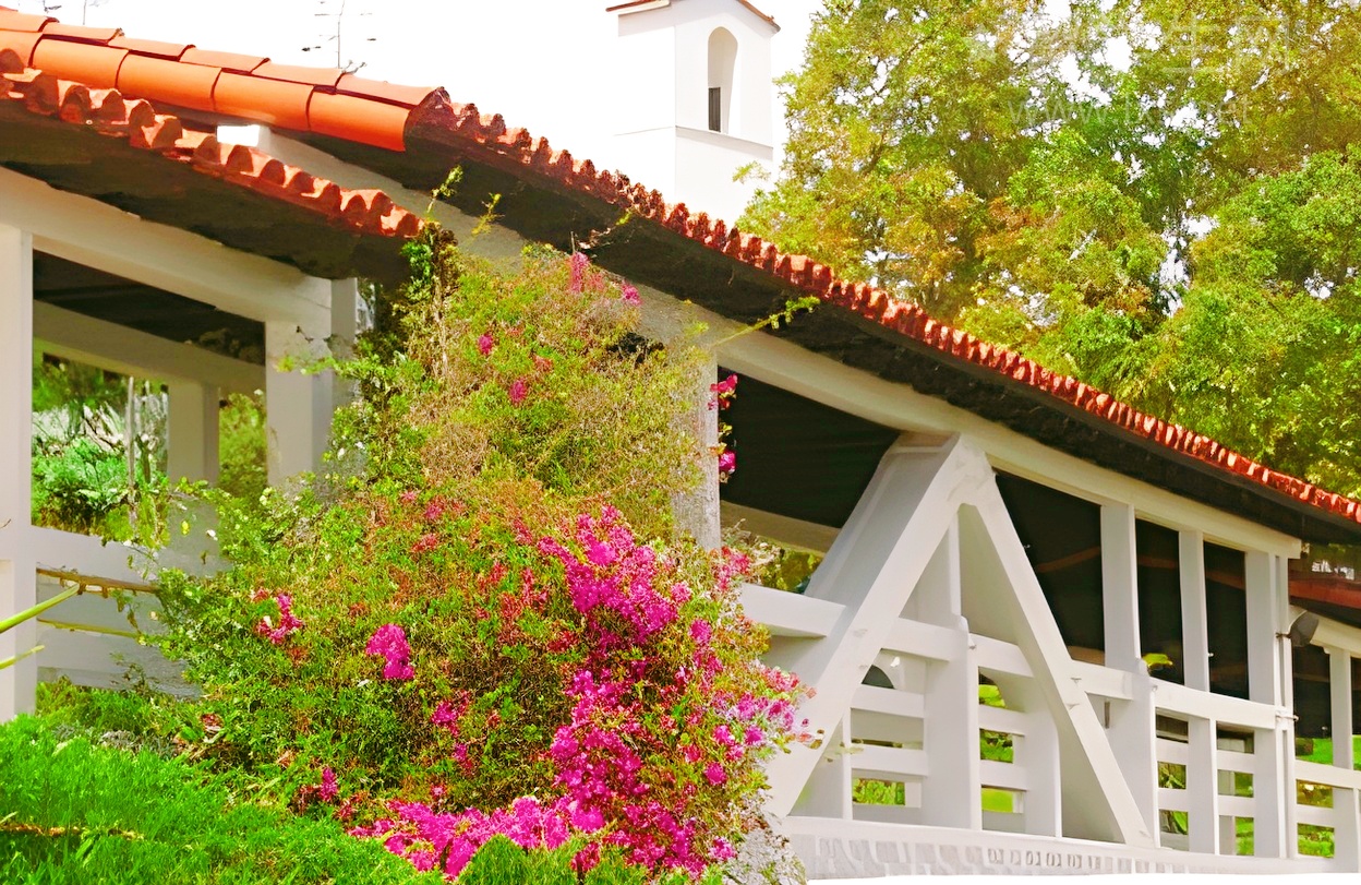 盘点英国留学王牌专业，选对稳赢